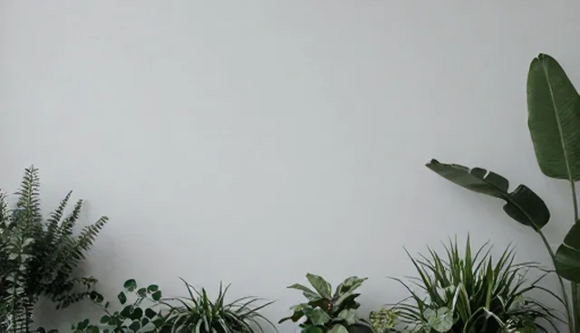 protect同义词组在提示词生成中的理解偏差澄清