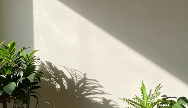 提示词是啥意思举个例子,如何影响视频创作结果