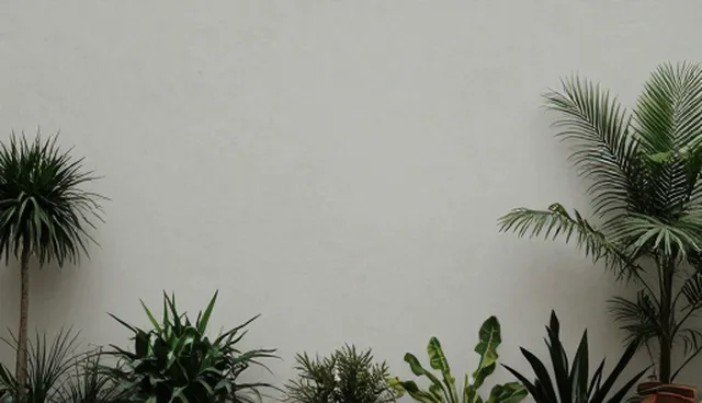 婚礼策划提示词:旅游行业视频生成的难点与解决方案