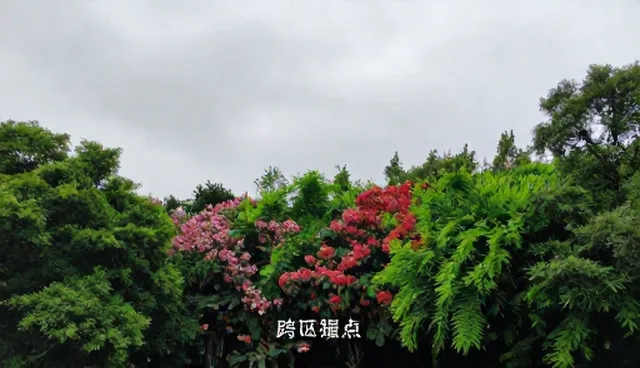 公司起名提示词:适用情况与限制说明