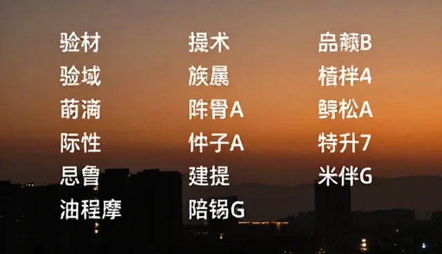 提示词生成大师的提示词应用与选择依据