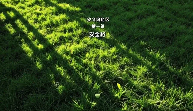 sd提示词分享：优化方法与内容创作技巧